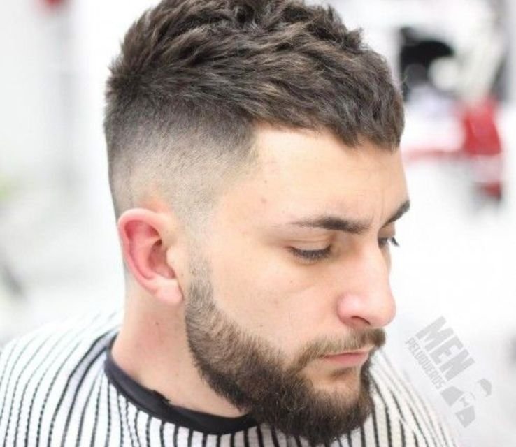 Simple Short Ivy League with Texture