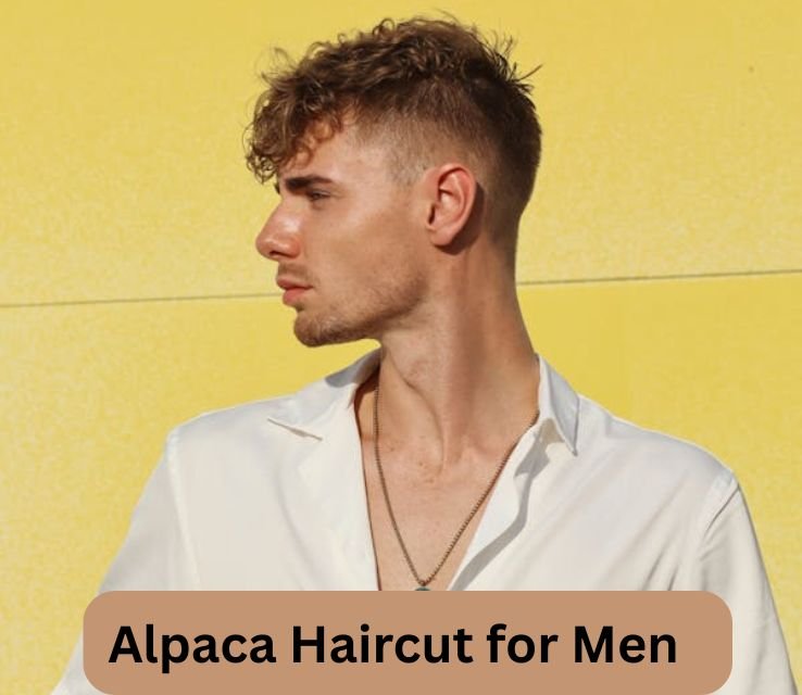 Alpaca Haircut for Men
