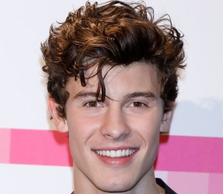 Shawn Mendes’ Messy Textured Look